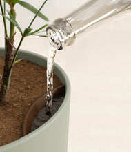 Load image into Gallery viewer, Sage Green stand:all
