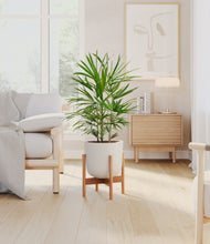 Load image into Gallery viewer, Natural Bamboo stand:bamboo
