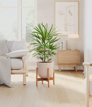 Load image into Gallery viewer, Sandy Pink stand:bamboo
