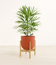 Load image into Gallery viewer, Earth Red stand:bamboo
