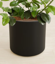 Load image into Gallery viewer, Black stand:all
