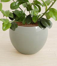 Load image into Gallery viewer, Deep Ocean stand:all
