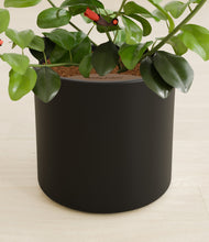 Load image into Gallery viewer, Black stand:all
