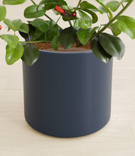 Load image into Gallery viewer, Deep Navy stand:all
