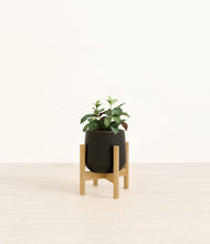 Load image into Gallery viewer, Black stand:bamboo
