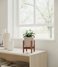 Load image into Gallery viewer, Eternal Gray stand:walnut
