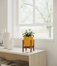 Load image into Gallery viewer, Mustard stand:walnut
