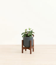 Load image into Gallery viewer, Black Pagoda
