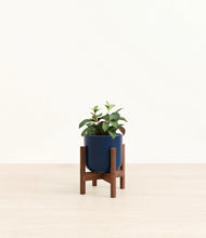 Load image into Gallery viewer, Black Pagoda
