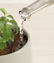 Load image into Gallery viewer, Turquoise stand:all
