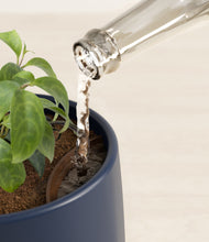 Load image into Gallery viewer, Deep Navy stand:all
