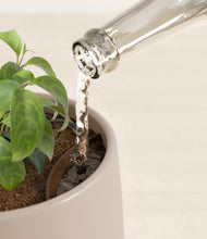 Load image into Gallery viewer, Eternal Gray stand:all
