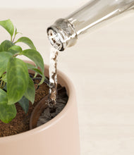 Load image into Gallery viewer, Gentle Pink stand:all
