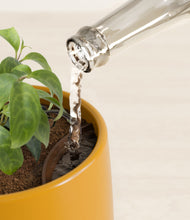 Load image into Gallery viewer, Mustard stand:all
