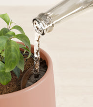 Load image into Gallery viewer, Calm Rose stand:all
