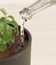 Load image into Gallery viewer, Dark Olive stand:all
