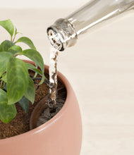 Load image into Gallery viewer, Calm Rose stand:all
