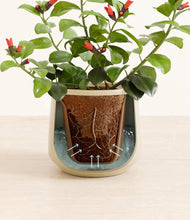 Load image into Gallery viewer, Almond Green stand:all
