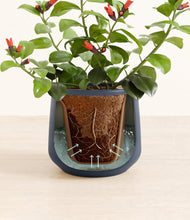 Load image into Gallery viewer, Deep Navy stand:all
