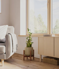 Load image into Gallery viewer, Olive stand:dark
