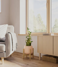 Load image into Gallery viewer, Gentle Pink stand:light
