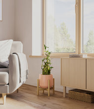 Load image into Gallery viewer, Calm Rose stand:light
