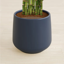 Load image into Gallery viewer, Deep Navy stand:all
