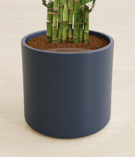 Load image into Gallery viewer, Deep Navy stand:all

