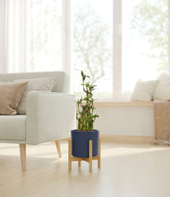 Load image into Gallery viewer, Deep Navy stand:light
