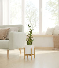 Load image into Gallery viewer, White stand:light
