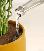 Load image into Gallery viewer, Mustard stand:all
