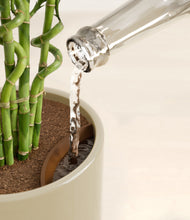 Load image into Gallery viewer, Sage Green stand:all
