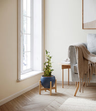 Load image into Gallery viewer, Deep Navy stand:light
