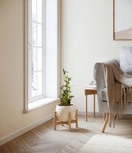 Load image into Gallery viewer, Shiny EggWhite stand:light
