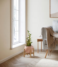 Load image into Gallery viewer, Calm Rose stand:light
