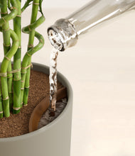 Load image into Gallery viewer, Sage Green stand:all
