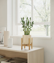 Load image into Gallery viewer, Almond Green stand:bamboo
