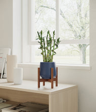 Load image into Gallery viewer, Deep Navy stand:walnut
