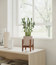 Load image into Gallery viewer, Eternal Gray stand:walnut
