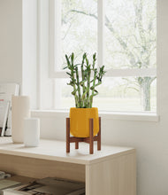 Load image into Gallery viewer, Mustard stand:walnut
