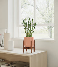 Load image into Gallery viewer, Calm Rose stand:walnut
