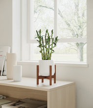 Load image into Gallery viewer, White stand:walnut
