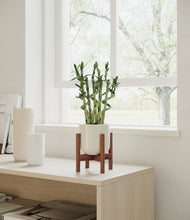 Load image into Gallery viewer, Cotton White stand:bamboo
