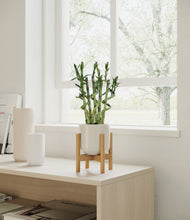 Load image into Gallery viewer, Cotton White stand:walnut
