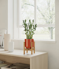 Load image into Gallery viewer, Glossy Red stand:bamboo
