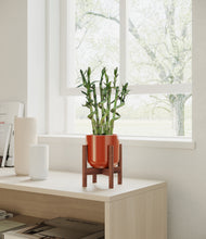 Load image into Gallery viewer, Glossy Red stand:walnut

