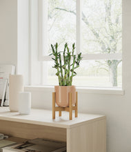 Load image into Gallery viewer, Glossy Pink stand:bamboo
