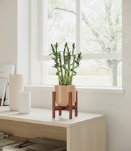 Load image into Gallery viewer, Glossy Pink stand:walnut
