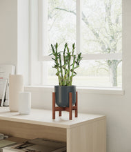Load image into Gallery viewer, Iron Gray stand:walnut
