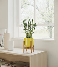 Load image into Gallery viewer, Key Lime Yellow stand:bamboo
